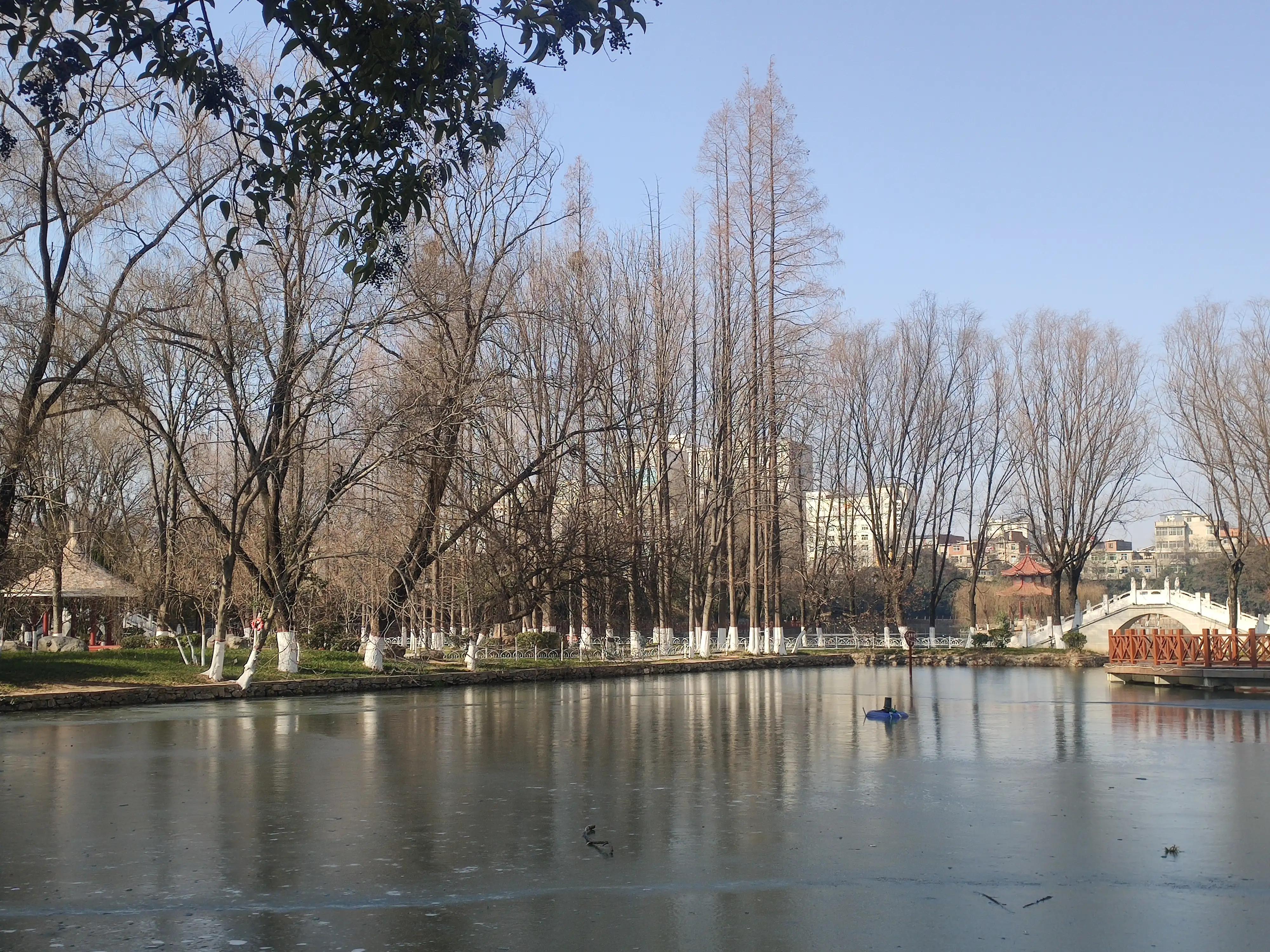山色空蒙雨亦奇,水光潋滟晴方好山色空蒙的意思