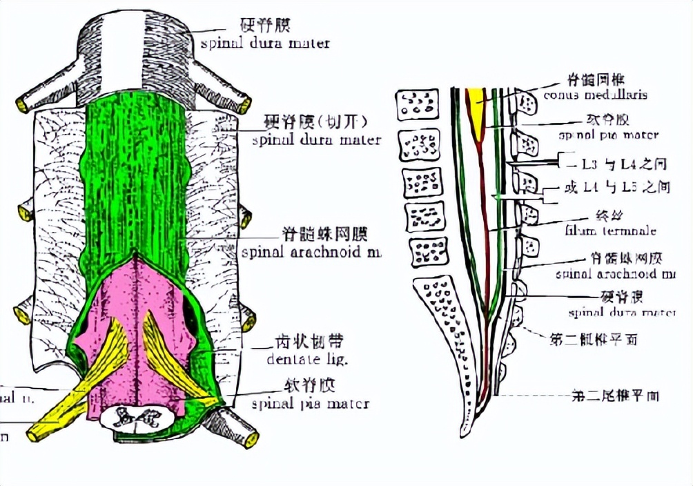分娩镇痛该不该选择,分娩阵痛碰到的问题