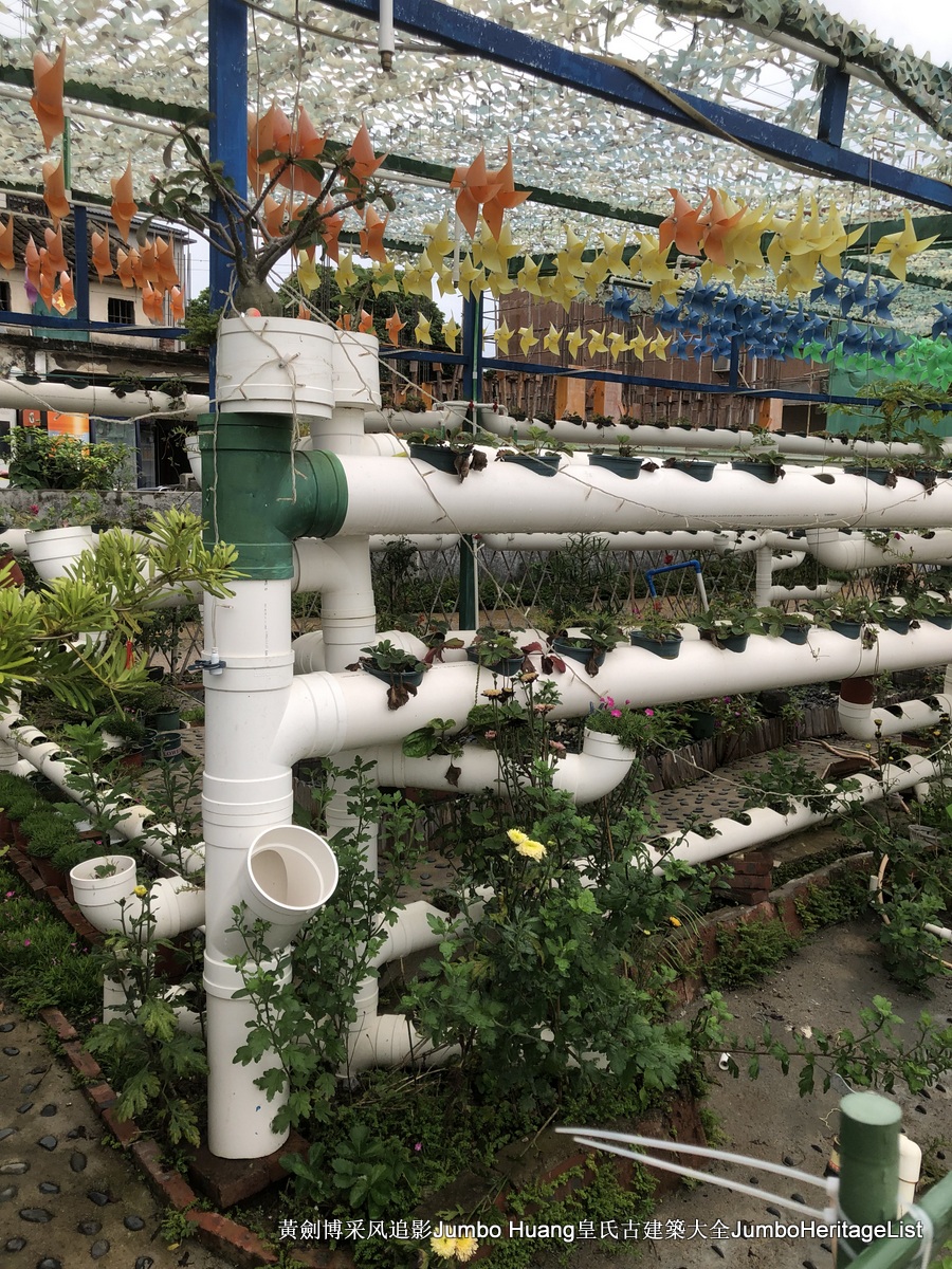 第3379回：秘密大营救会新楼，叶亚来周田碧滟楼