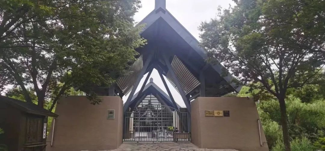 文创大奖是怎么获得的,优秀文创ip