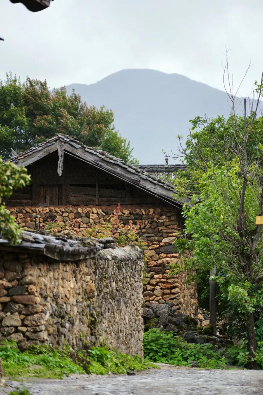 几月份去云南旅行合适,云南一月份旅游不适合去哪儿