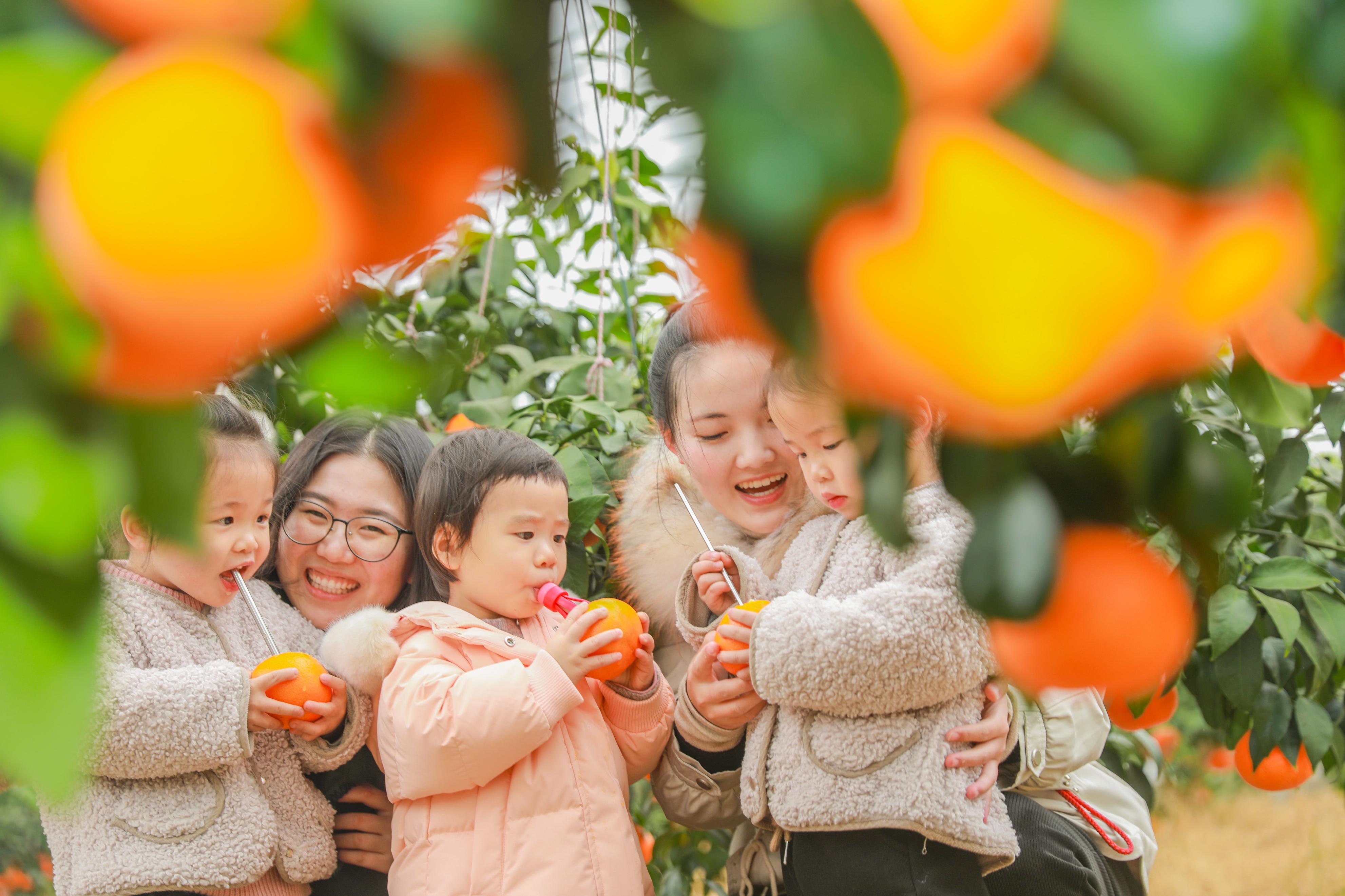 农文旅融合助推乡村振兴,文旅结合乡村旅游