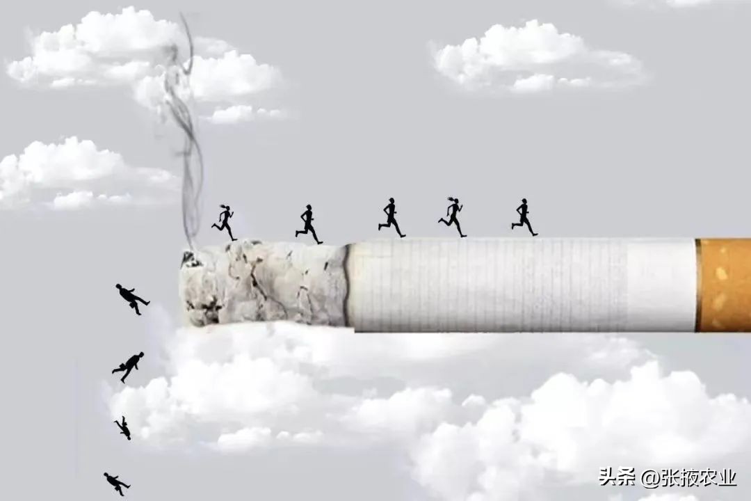 世界无烟日医生科普,善南街道无烟日科普宣传