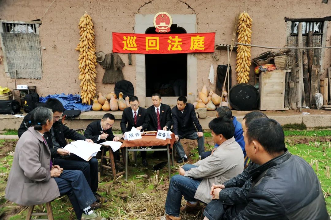 人物丨南溪十年，年年“春来”