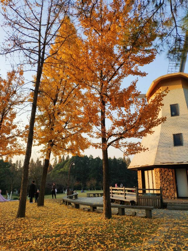 杭州周边赏秋好去处,杭州赏秋最佳攻略