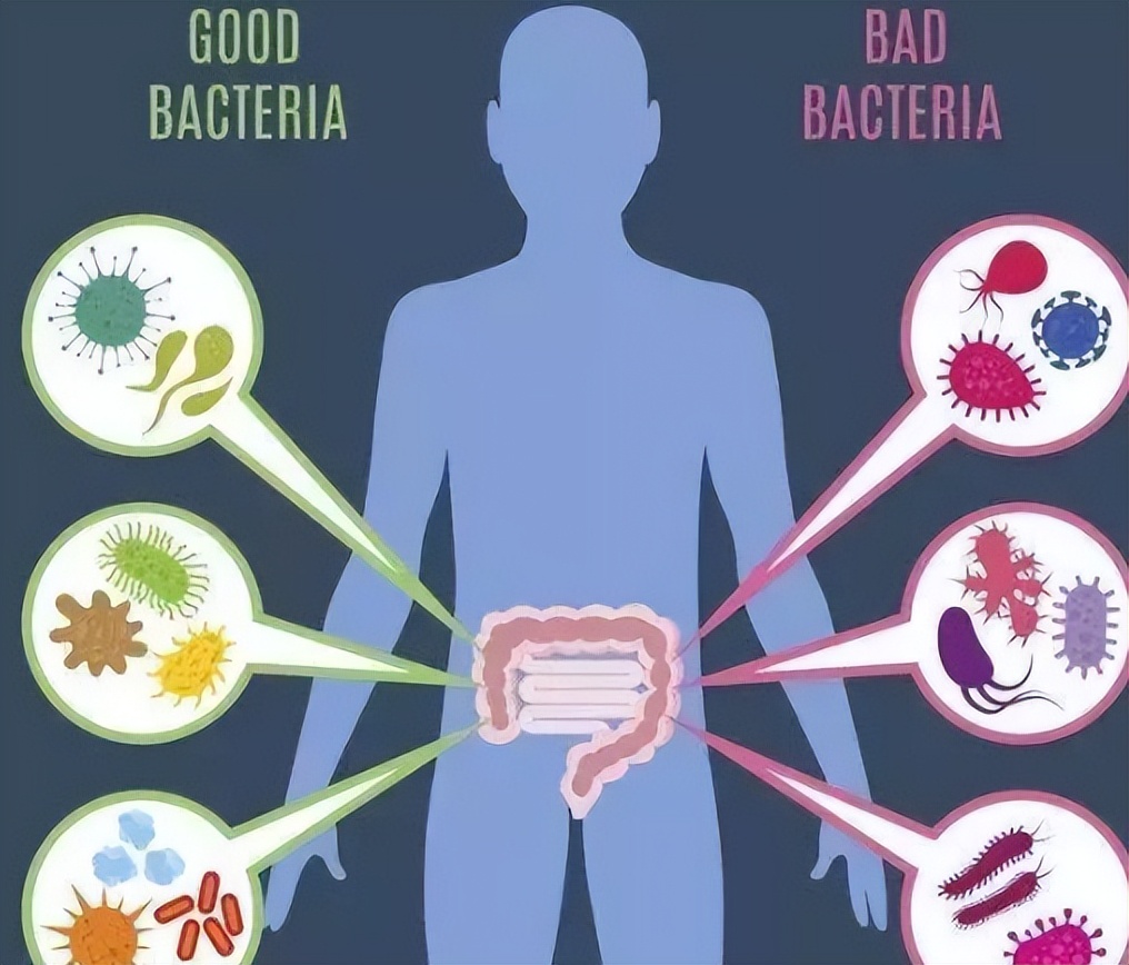 人体卫士和细菌大作战,人体卫士与细菌病毒大作战完整版
