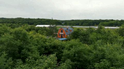 吉卜力主题公园进展,吉卜力公园开放