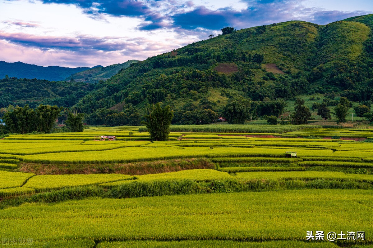 关于高标准农田建设补贴的视频,2022年湖南省高标准农田补贴标准