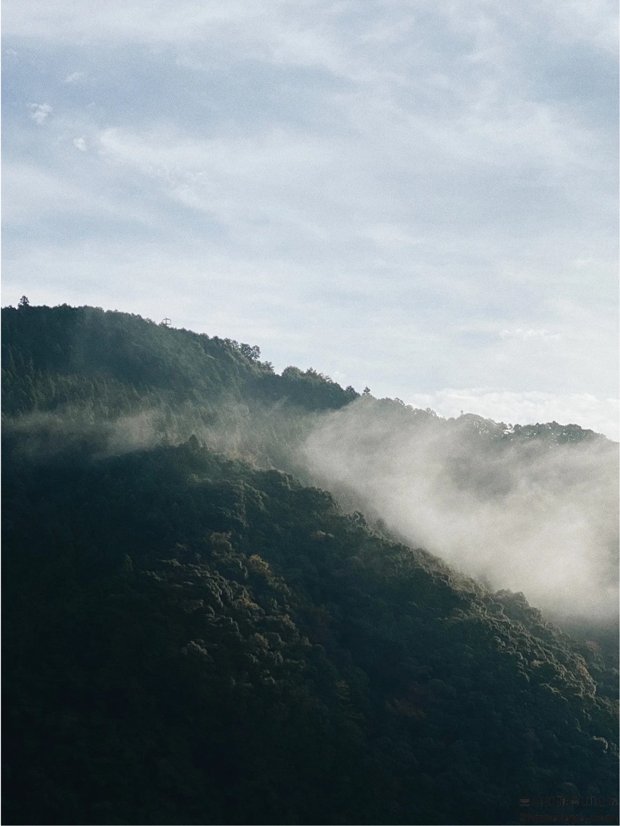 [日]与本宫地区最后一名修玄道僧侣徒步远古的日本朝圣之路