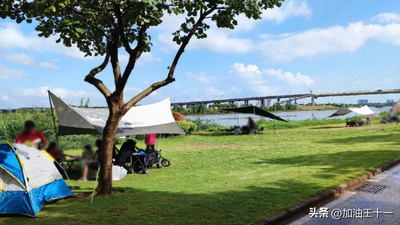 半月岛生态公园小垦丁,佛山半月岛湿地公园攻略