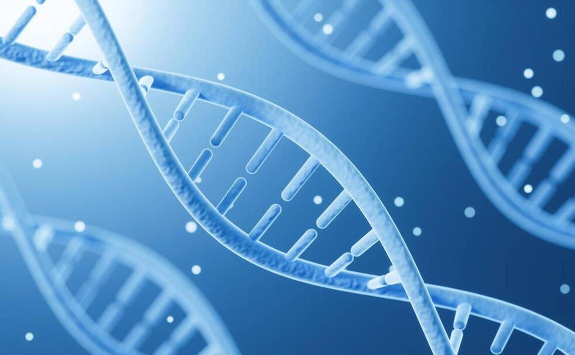 男孩子最容易遗传妈妈还是爸爸,儿子最容易遗传父母的三个特征