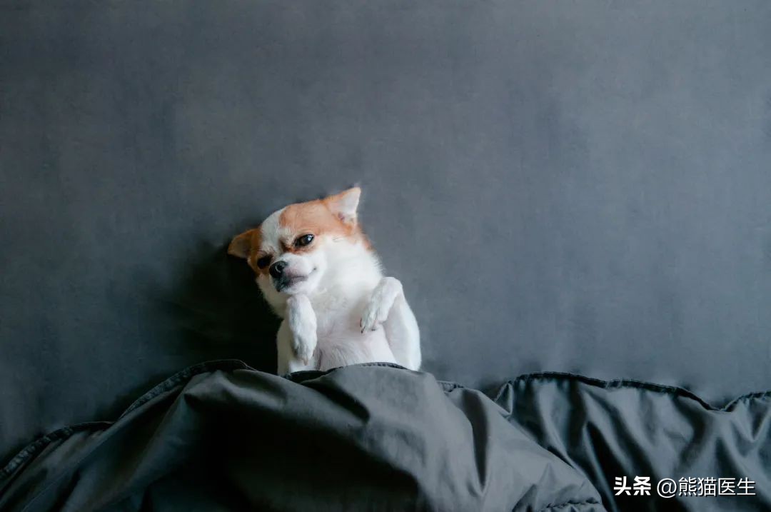 热天睡觉要盖肚子吗,天热也要盖棉被睡什么原因