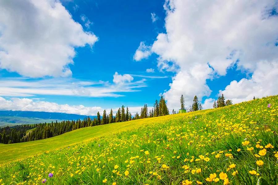 人生难得静心,人生难得清净心