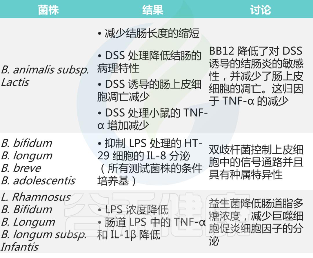 肠道双歧杆菌的功效及作用,双歧杆菌属于肠道的有益菌吗