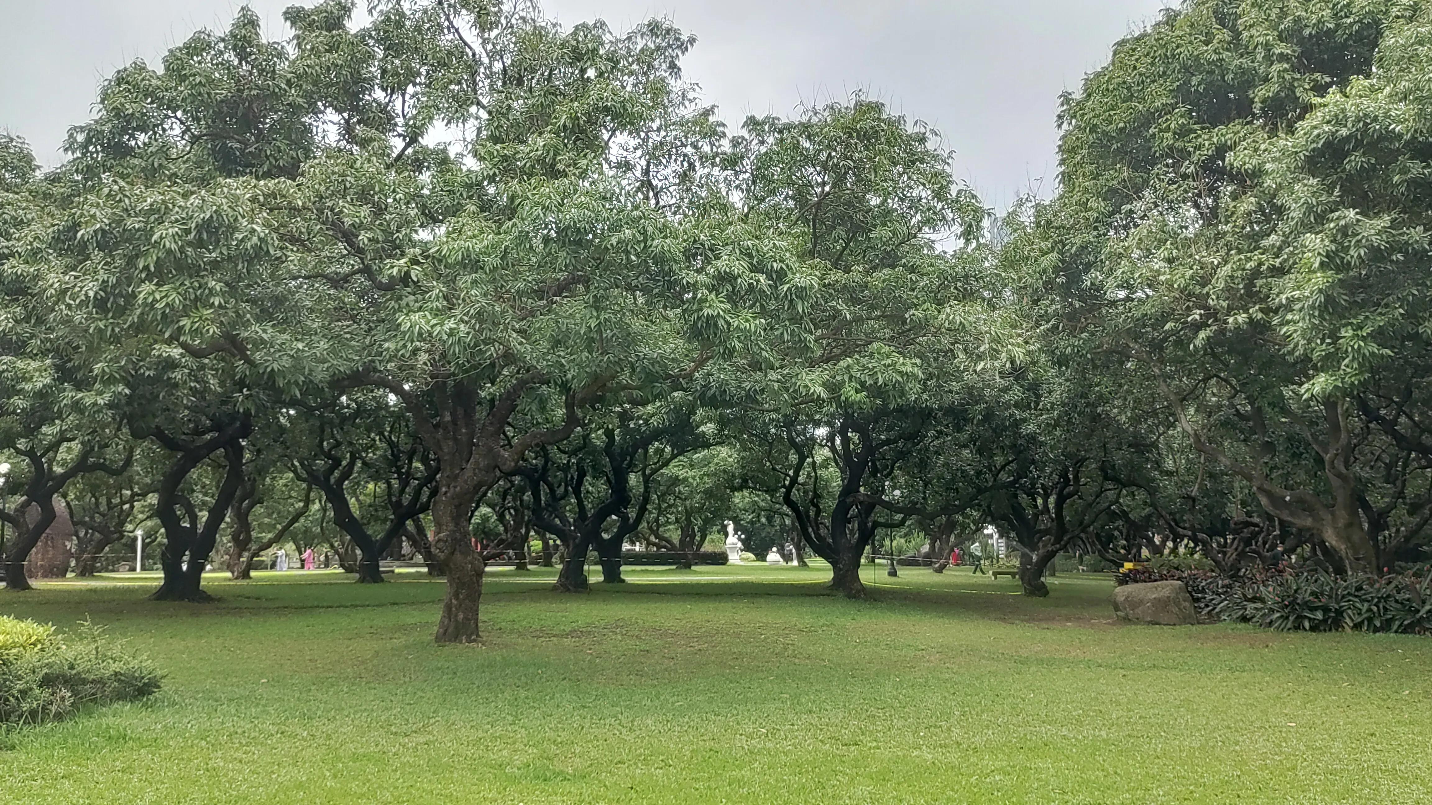 因为你的美点缀了所有一切,因为你的美惊艳了我的生命