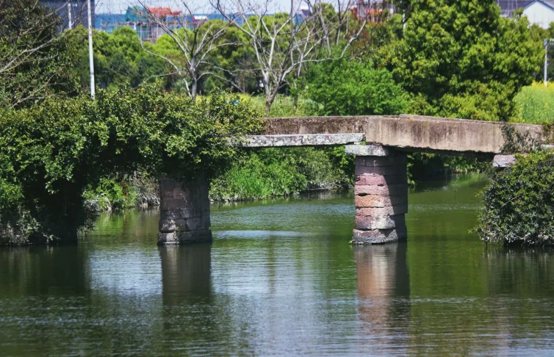 过山农家唐顾况古诗朗诵,顾况为什么要写过山农家