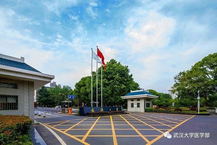 坐拥多家附属医院，多个ESI全球前1%学科！武汉大学医学实力瞩目！
