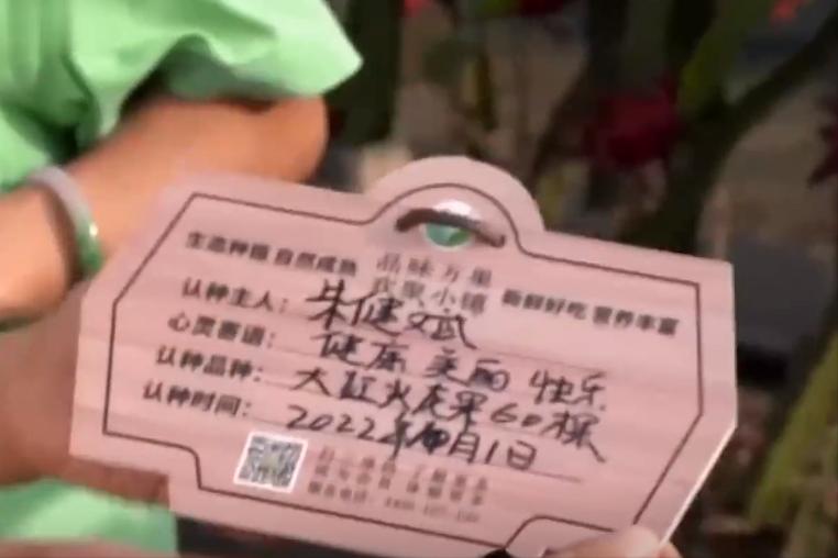 小伙子种火龙果四年身价过亿,种植火龙果一年挣1千万