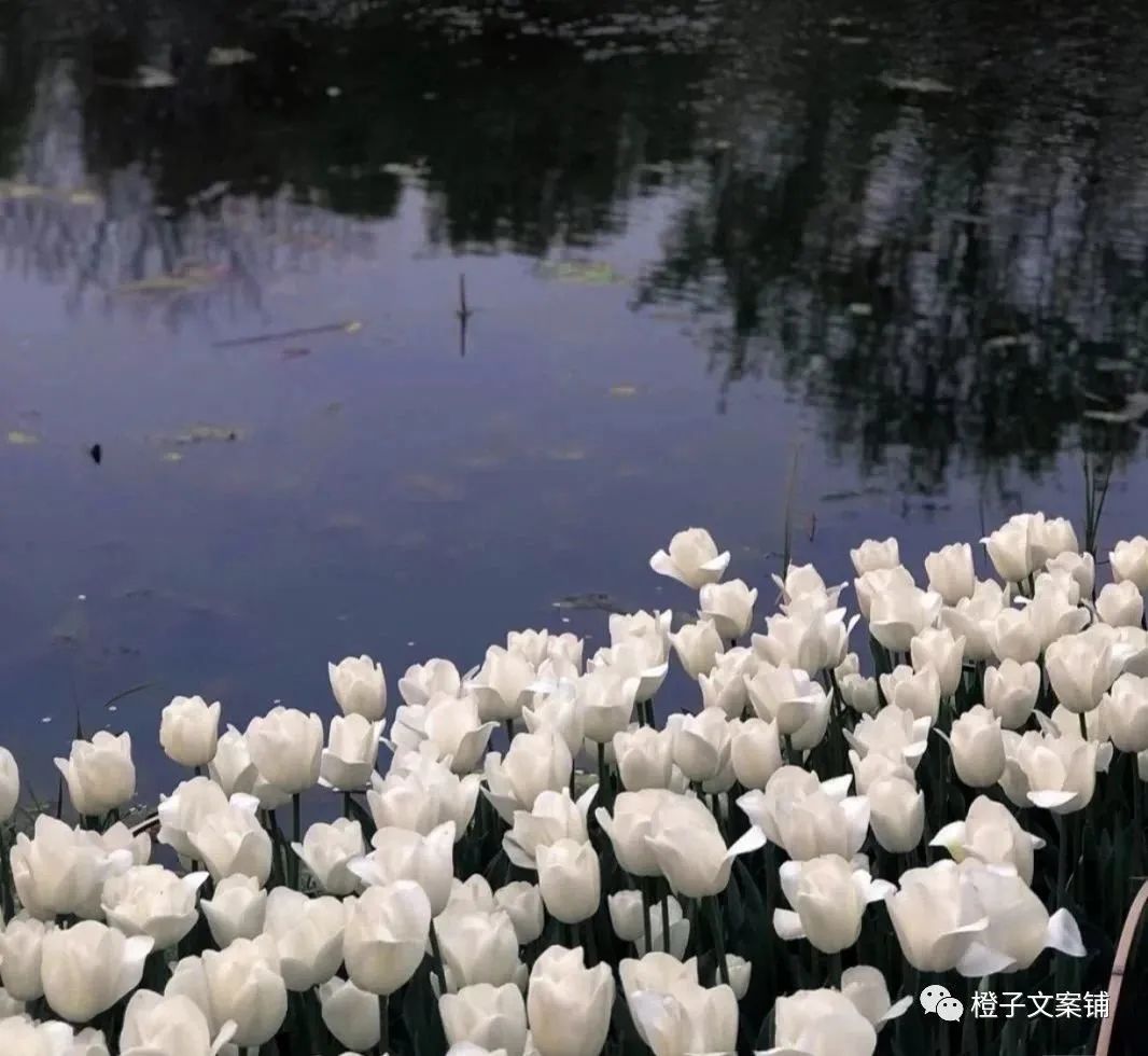 深夜高级emo文案,让你瞬间破防的emo文案