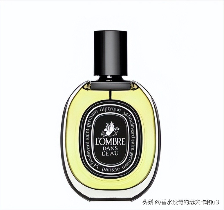 三大网红香水,十大网红香水值得入手吗