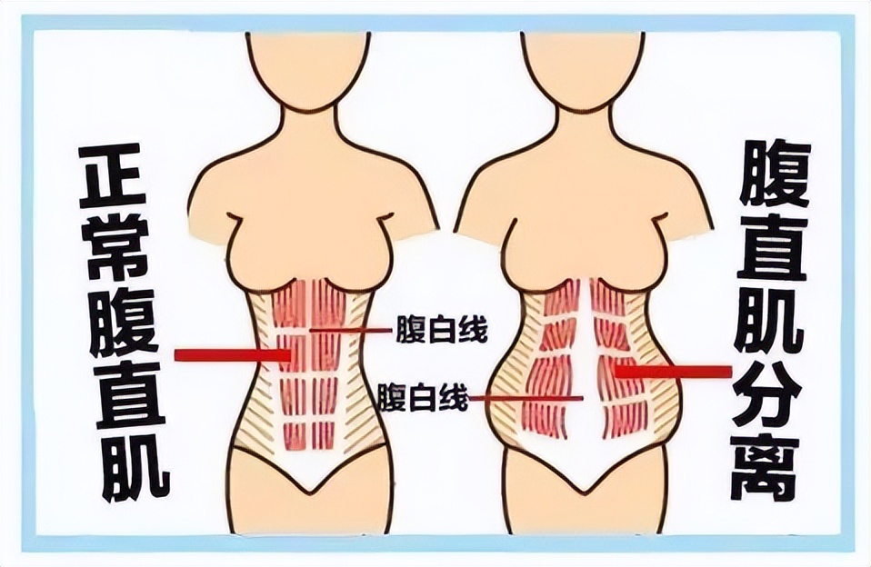 这个季节适合养膘不适合减肥,养生不养膘秋季减肥吃什么