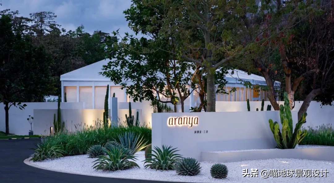 热带风情的庭院别墅,庭院大型热带风情绿植