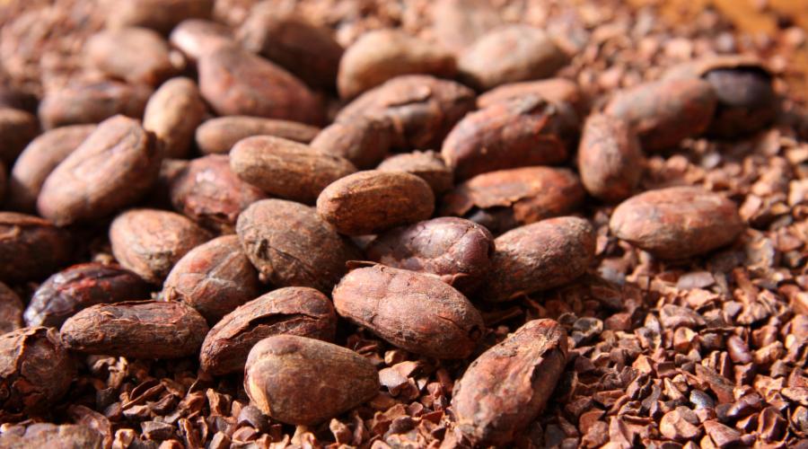 白巧克力和黑巧克力混合一起,孕妇吃白巧克力好还是黑巧克力好