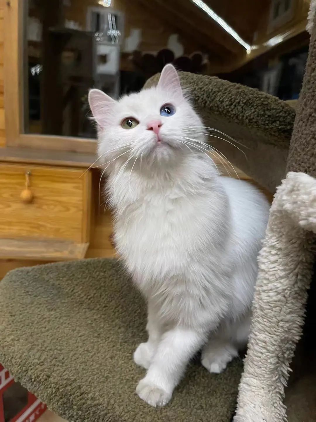 赵明明：上班摸鱼，是我的梦想!