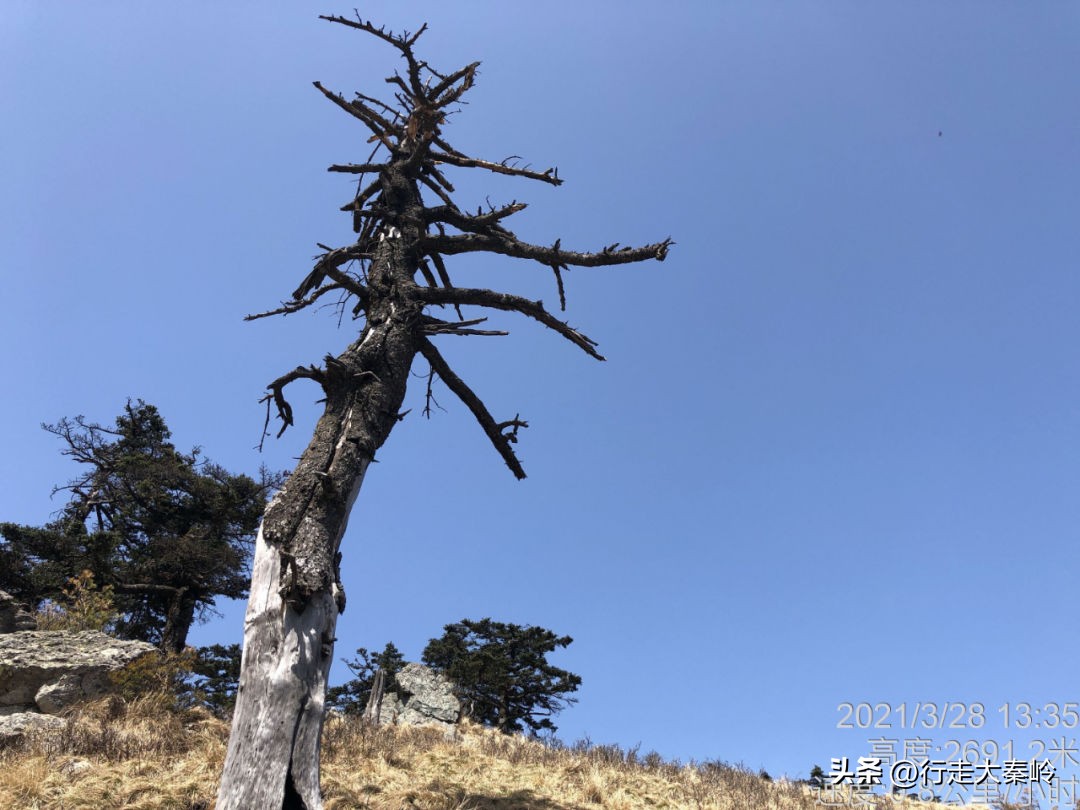 首阳山穿越大坪梁景色怎么样,大坪梁穿越到首阳山攻略