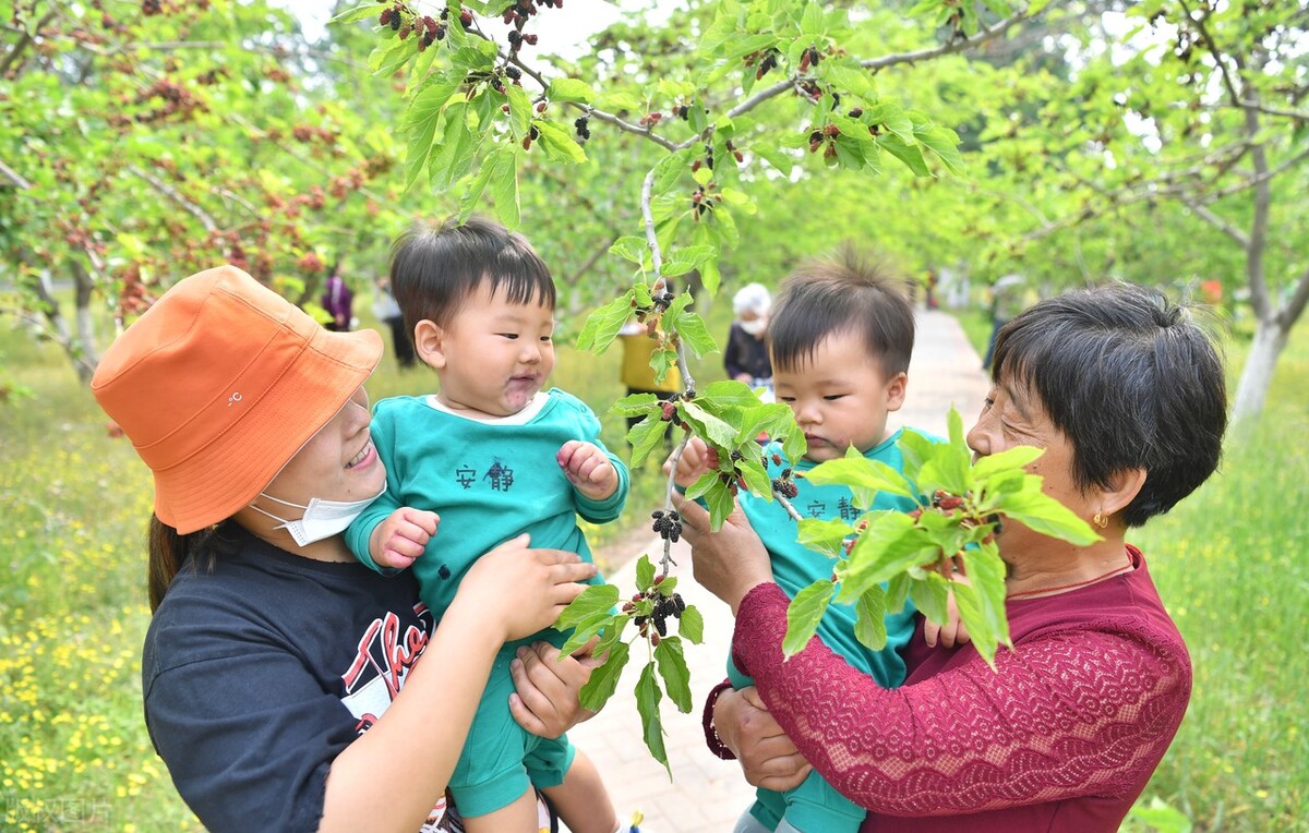 大兴区自驾游推荐景点,北京大兴区公园景点