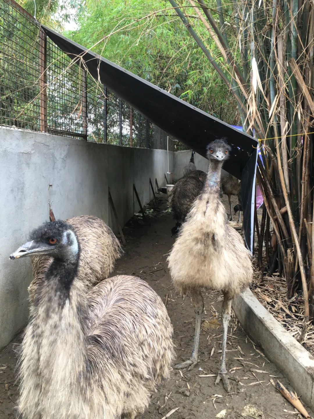 旭光电动车行,旭光车行向阳路