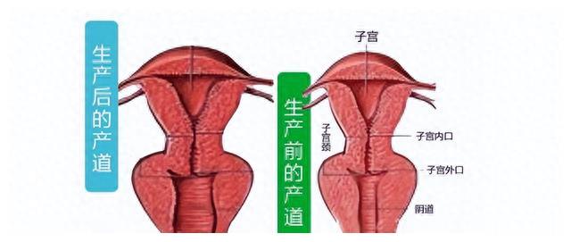 中国可燃冰首次发现,我国科考队登顶卓奥友峰感想