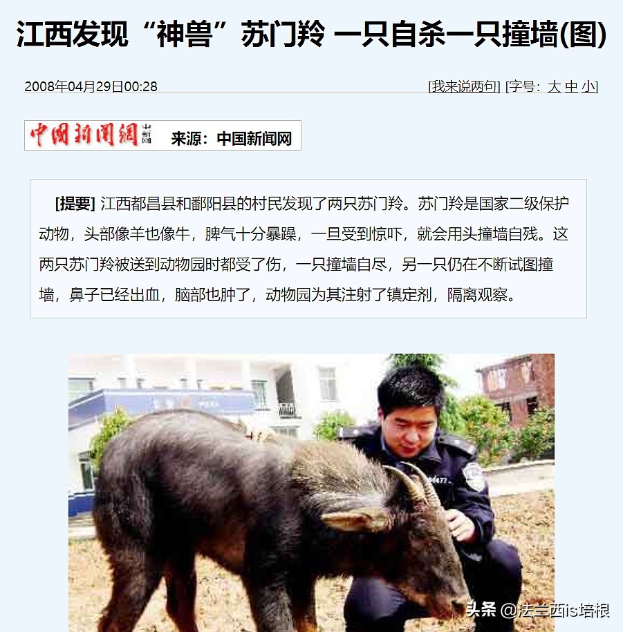 罕见的天马神兽,惊现野生神兽视频