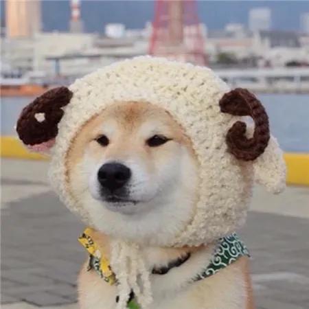 拜年祝福语发朋友圈搞笑,春节拜年祝福语幽默搞笑