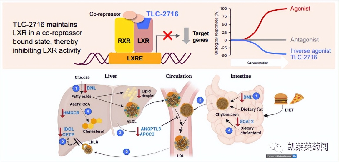 一天内收购一家上市公司,一天内收购一家上市企业