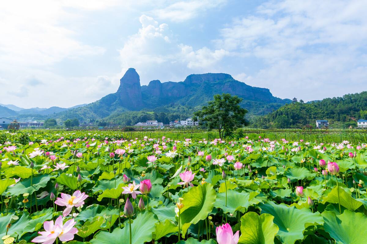 江西5月份冷门旅游,江西十大冷门景点人少景美好玩