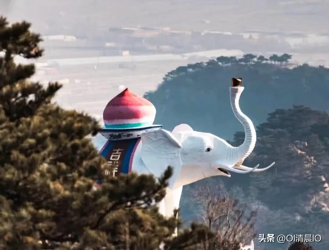青岩寺歪脖老母有什么讲究,青岩寺歪脖老母真名