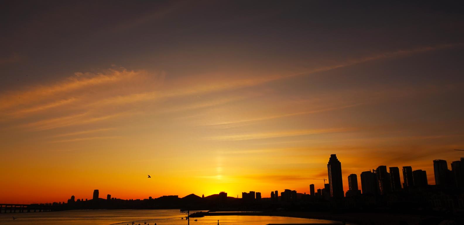 大连未来发展最具潜力,大连发展前景很好的区