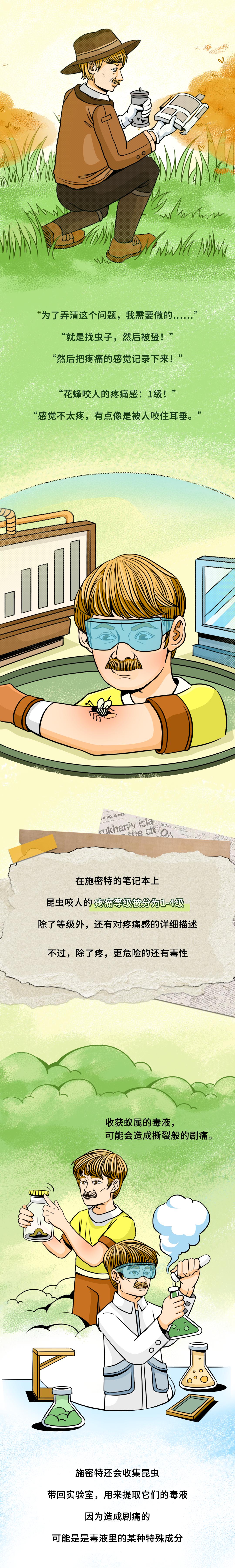 被哪种虫子咬了有个小孔,被什么昆虫咬了刺痛