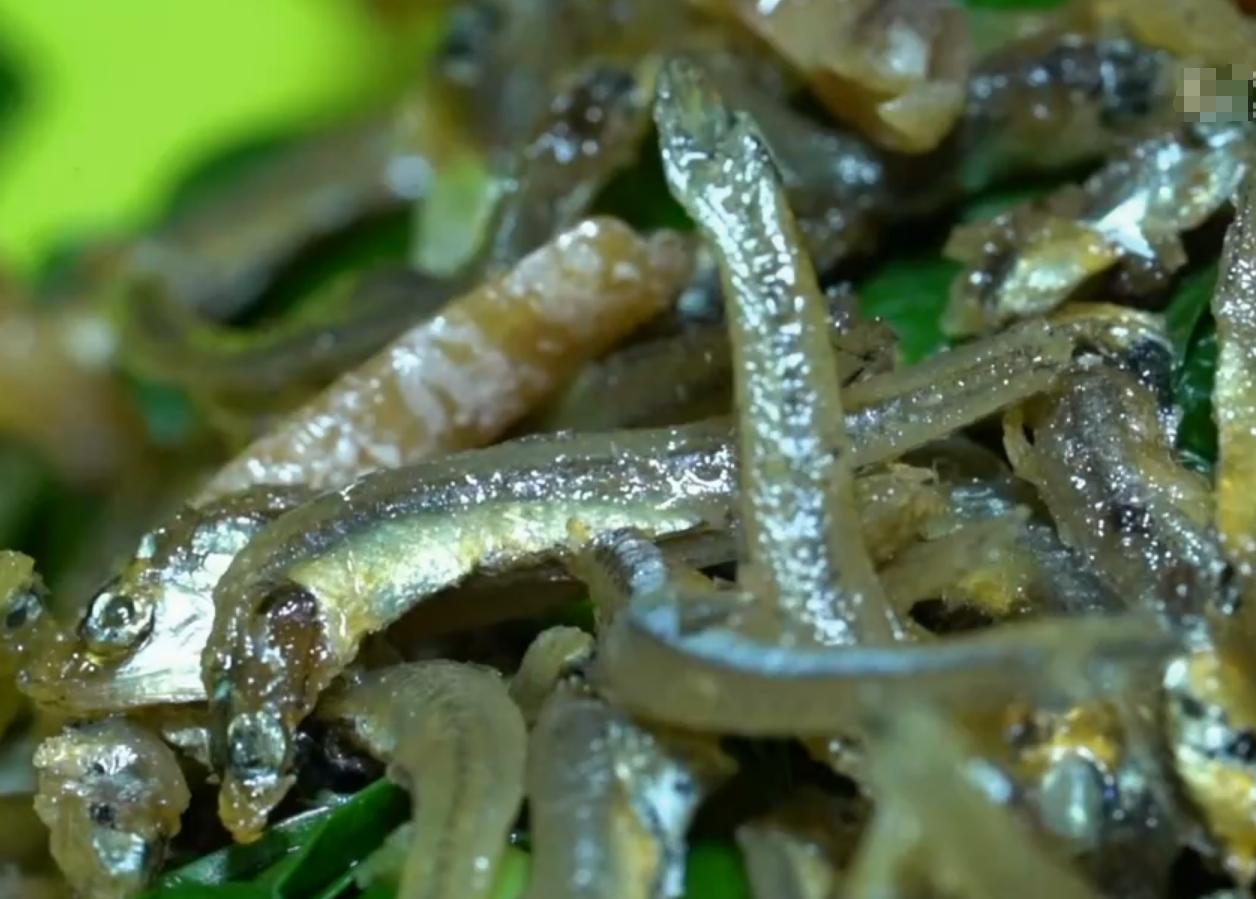 梁振阳:辞职百万年工作回乡创业,两年掏空家底,悟出赚钱秘诀