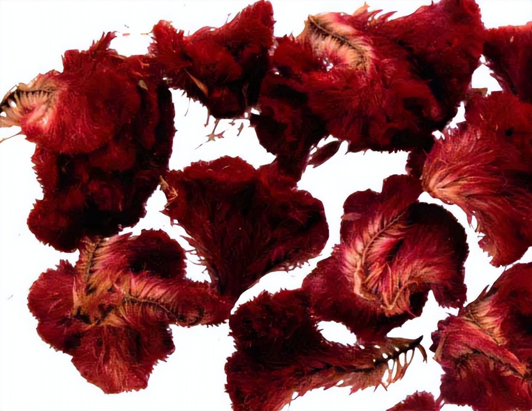 带你识别厚朴,带你识别柴胡