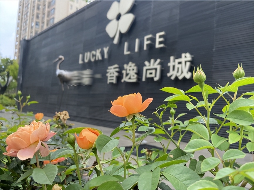 带你见识万科物业,小区物业品质提升实施方案