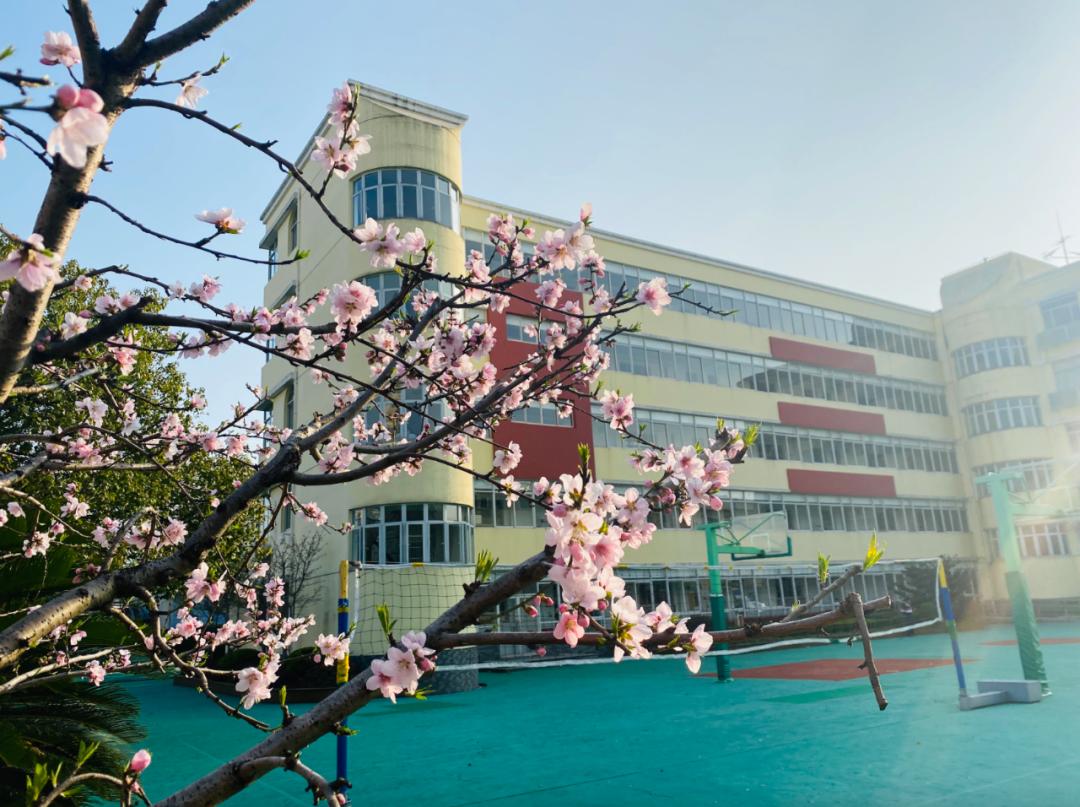 家门口的好学校让孩子成就梦想,家门口的好学校越来越多