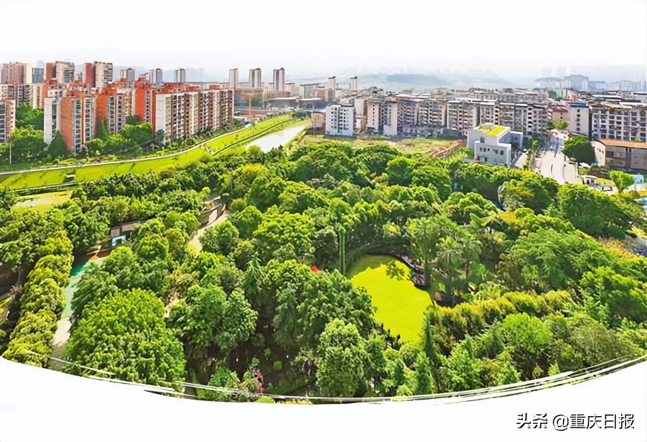 大美重庆就在家门口,大美重庆就在家门口摄影比赛