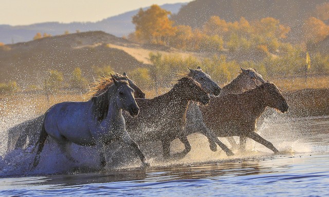 藏东自驾游最佳路线,西藏自驾游攻略