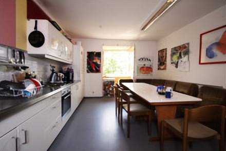 霍恩海姆大学,霍恩海姆厉害吗