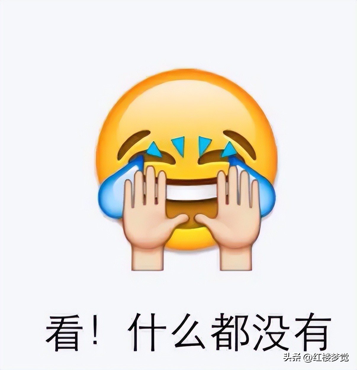 曹雪芹当时犯了什么罪,曹雪芹到底有没有此人