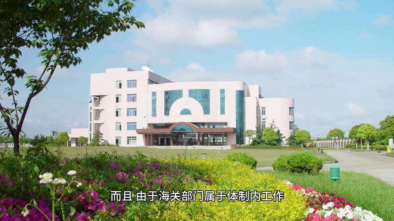 海关类专业有哪些,为什么海关法学找的少呢