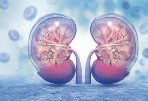 肾衰竭有这5个征兆和危险,肾衰竭一直不退烧是怎么回事