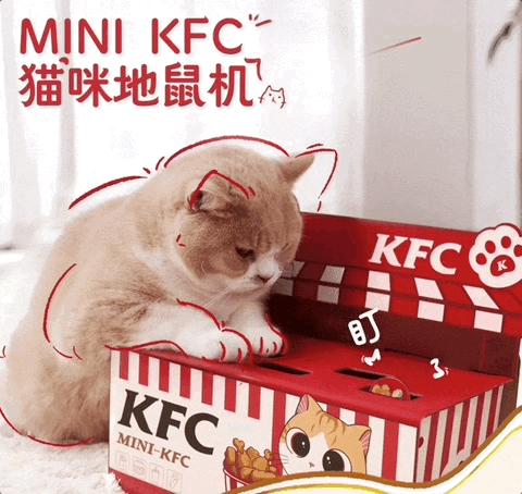 肯德基猫窝可选吗,肯德基猫窝是啥